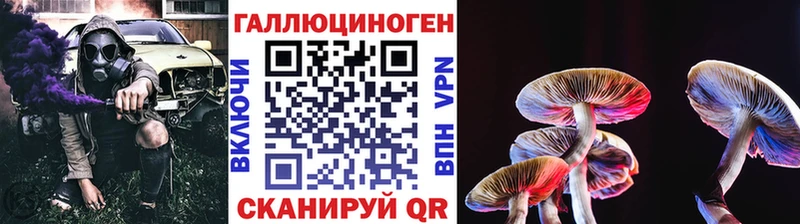 Псилоцибиновые грибы MAGIC MUSHROOMS  MEGA зеркало  Холмск  продажа наркотиков 